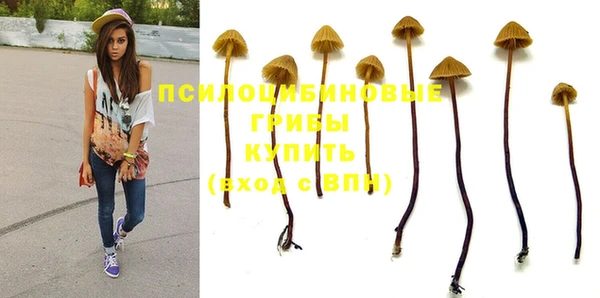 спиды Белоозёрский