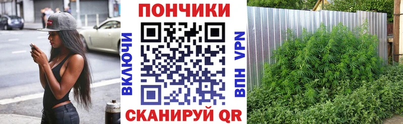 Канабис Ganja  где купить   Очёр 